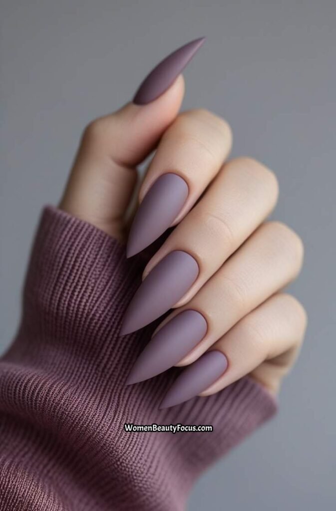 6. Elegant Matte Mauve Stiletto Nails